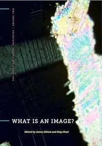 What Is an Image? (The Stone Art Theory Institutes)