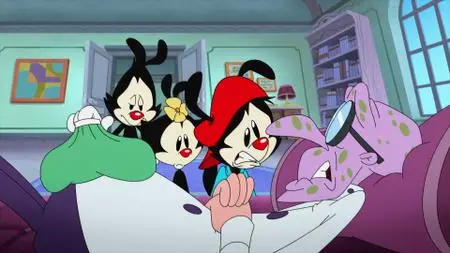 Animaniacs S01E13