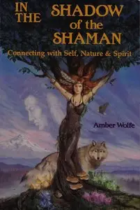In the Shadow of the Shaman: Connecting with Self, Nature & Spirit by Amber Wolfe
