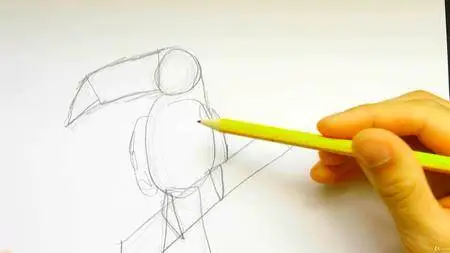 The Ultimate Sketching Course - Amateur to Pro