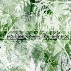 Leaf and Tree Brushes for Adobe Photoshop