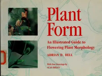Plant Form: An Illustrated Guide to Flowering Plant Morphology by Adrian D. Bell