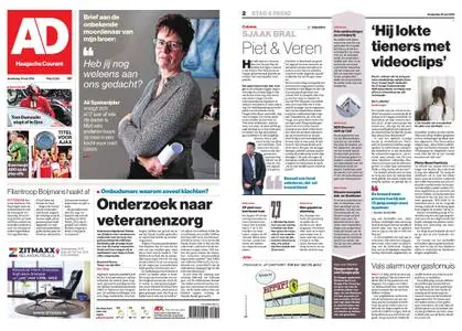Algemeen Dagblad - Delft – 16 mei 2019