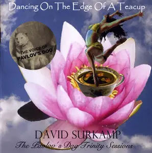 David Surkamp – Dancing On The Edge Of A Teacup: The Pavlov's Dog Trinity Sessions (2007)