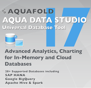 Aqua Data Studio 17.0.12 Multilingual