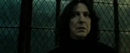 Harry Potter and the Deathly Hallows: Part 2 (2011)