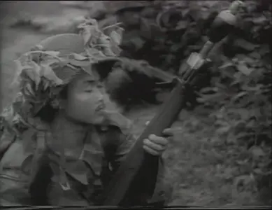 Vietnam Combat collection part 1 A Long & Brutal War