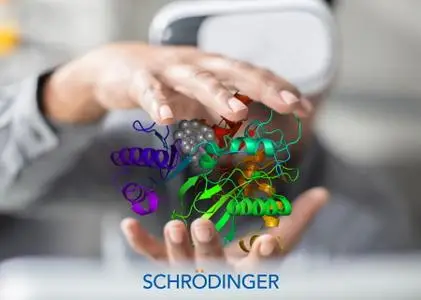 Schrödinger Suites 2020-3