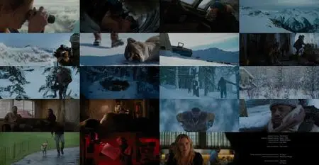 The Mountain Between Us (2017)