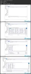 MySQL Basics to Beyond: Understanding SQL For Beginners