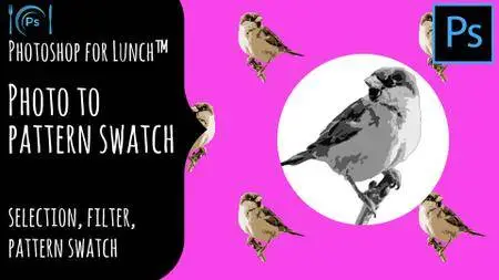 Photoshop for Lunch™ - Turn a Photo into a Pattern - Selection, Filter, Pattern Swatch