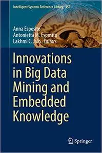 Innovations in Big Data Mining and Embedded Knowledge