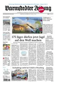 Barmstedter Zeitung - 29. Oktober 2019