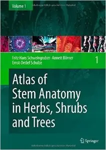 Atlas of Stem Anatomy in Herbs, Shrubs and Trees, Volume 1