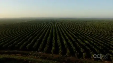 Smithsonian Channel - Aerial America: Florida (2012)