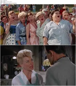 The Pajama Game (1957)