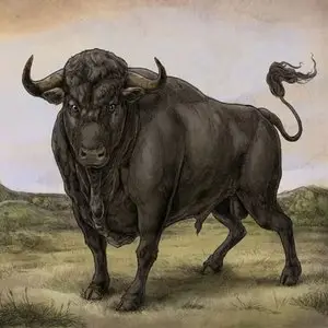 San Fermin - San Fermin (2013)