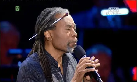 McFerrin+ - Festiwal Solidarity of Arts 2013 [SATRip]