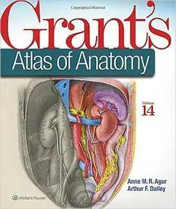 Grant's Atlas of Anatomy, 14th Edition