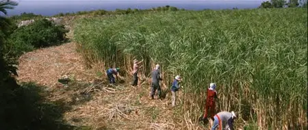 Breathe In, Breathe Out (2004)