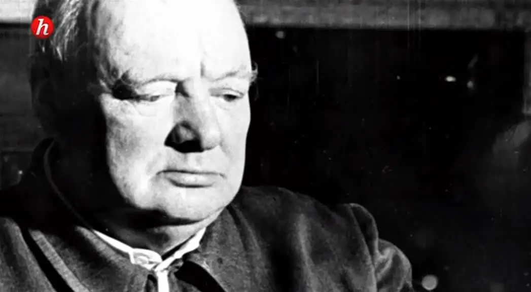 (Histoire) 1941, Staline face à l'invasion (2014)