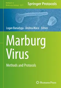 Marburg Virus: Methods and Protocols (Methods in Molecular Biology, 2877)