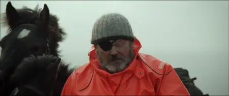 Of Horses and Men (2013)
