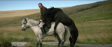 Of Horses and Men (2013)