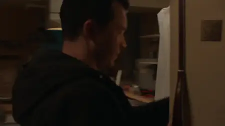Shameless - Nicht ganz nüchtern S11E11