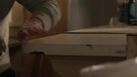 Shameless - Nicht ganz nüchtern S11E11