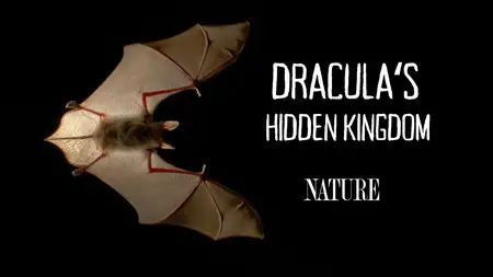 PBS - Nature: Dracula's Hidden Kingdom (2024)