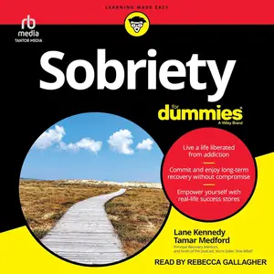 Sobriety for Dummies [Audiobook]