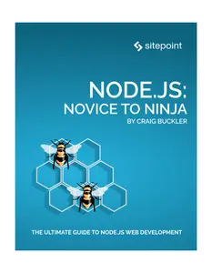 Node.js Novice to Ninja
