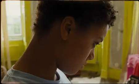 Bird (2024)