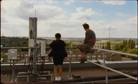 Bird (2024)