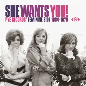 VA - She Wants You! (Pye Records' Feminine Side 1964-1970) (2021)