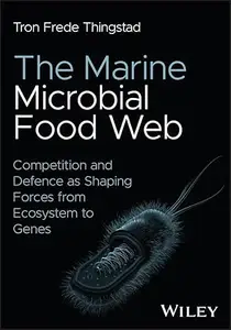 The Marine Microbial Food Web