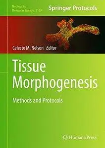 Tissue Morphogenesis: Methods and Protocols (repost)