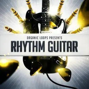 Organic Loops Rhythm Guitar WAV REX