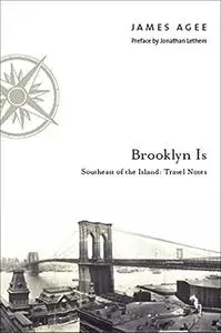 Brooklyn Is: Southeast of the Island: Travel Notes