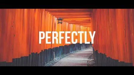 Dynamic Typography Opener - Project for After Effects (VideoHive)