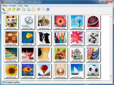 Duplicate Photo Finder 3.3.0.80