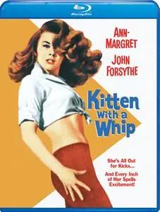 Kitten with a Whip (1964)