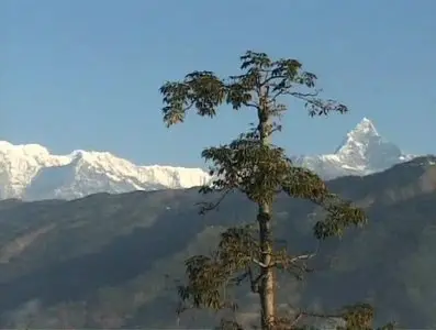 Золотой глобус. 14. Непал