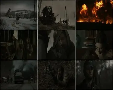 The Road / Дорога [DVD9] (2009)