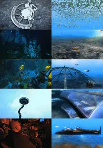 National Geographic - City Under the Sea (2011)