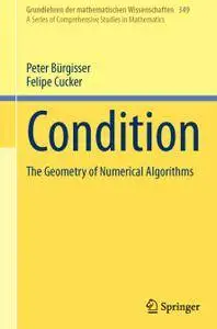 Condition: The Geometry of Numerical Algorithms (Repost)