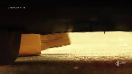 Lethal Weapon S02E04