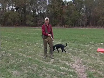 Training The Upland Retriever (Volumes 1, 2, 3)