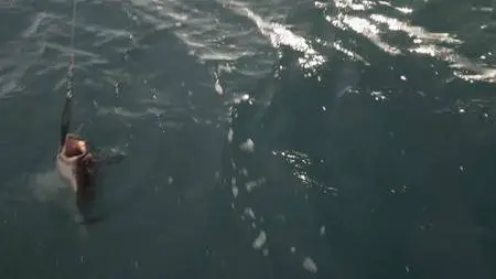 Alaska: The Last Frontier S07E09